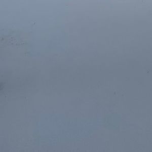 想陪你在夏洛特敦看夕阳