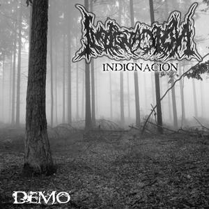 No temas a ser libre (DEMO - Live)