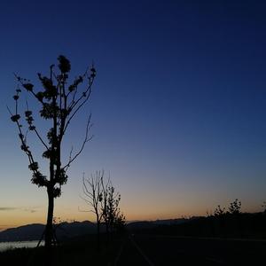 阿拉斯加海湾（翻自 菲道尔）