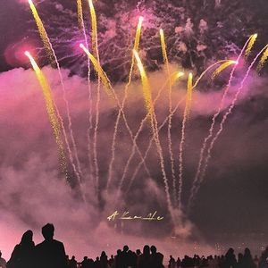 岁月里的花（Cover莫文蔚）