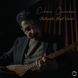 Bahçada Yeşil Çınar