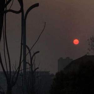 你头顶的风（翻自 吉他版）