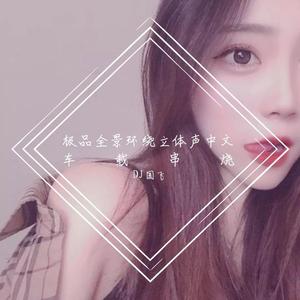 极品全景环绕立体声中文车载串烧