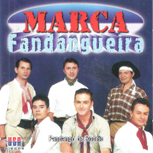 SEU GAITEIRO (INSTRUMENTAL)