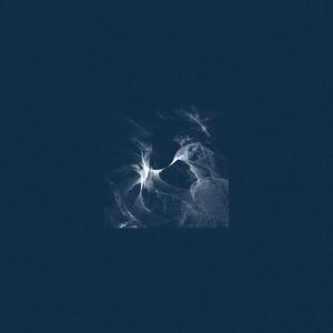 孔雀开屏天变蓝