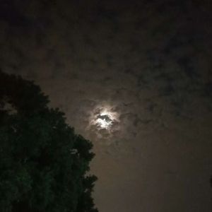 Song From A Secret Garden