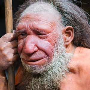 原始人捡到Synth