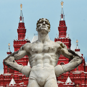 берёзовый лес