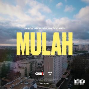 Mulah (feat. DOC OVG)