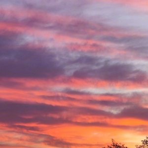 星辰不坠落   蓝心羽