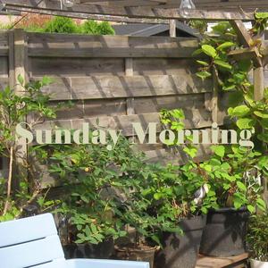 Sunday Morning