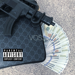 VOSS