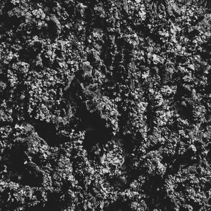 Occasional Feelings vs Thoughts