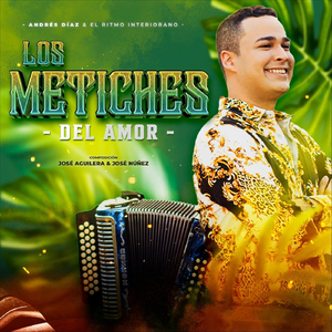 Los Metiches del Amor