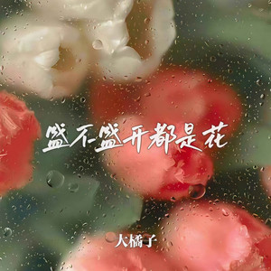 盛不盛开都是花 (DJ刘雅松版伴奏)