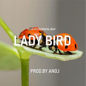 Lady Bird