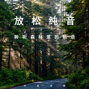 聆听森林自然私语 (舒缓纯音乐)