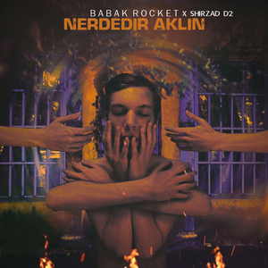 Nerdedir Aklin