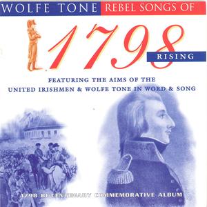 Irish Ways And Irish Laws