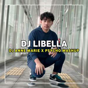 DJ Anne Marie x Psycho -inst