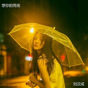 想你的雨季 (纯音乐)