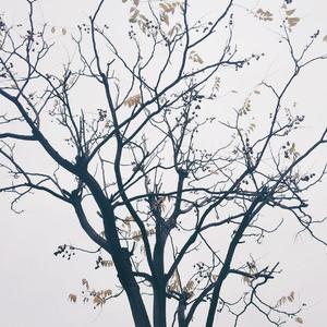 The Ocean（孑然锦 remix）