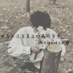 寂寞烟孤独酒伤心人 (DJ版)