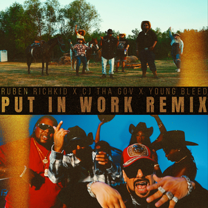 Put in Work (Remix)