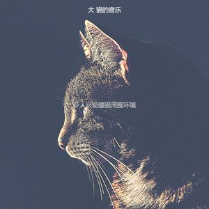 有趣可爱的猫情怀