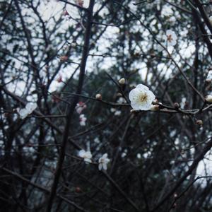 其实我们并没那么默契或有缘