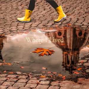 Rain&amp`s Footsteps