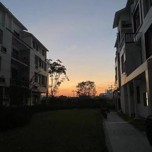 孤独是多么美妙啊