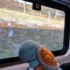 让我陪在你身边