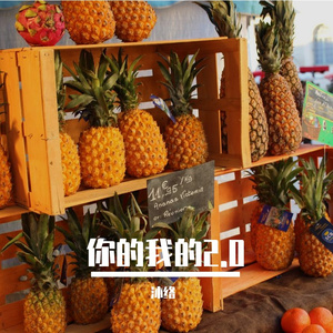 你的我的 2.0
