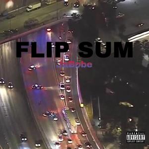 Flip Sum