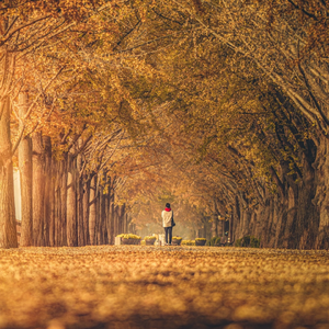 风铃与海（钢琴）