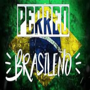 Brasileño Perreo A Fuego