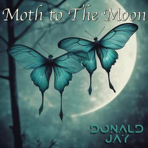 Moth to The Moon