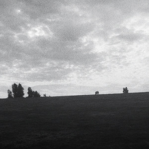 Ombra