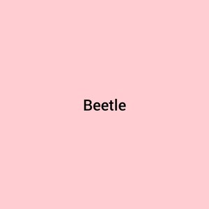 Beetle