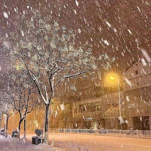 [FREE]"我们的结局是大雪满天飞" Lil Tjay Type Beat