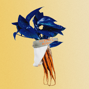 クズ男とバカ女