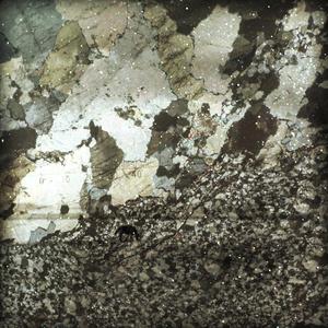 Robert the Fifth (and the election of the 44th President)