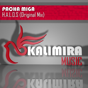 H.A.L.O.S (Original Mix)