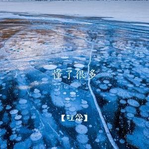 蝶儿总在空中飞