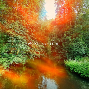 Porto Cobblestone Stroll