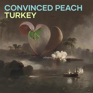 Convinced Peach Turkey
