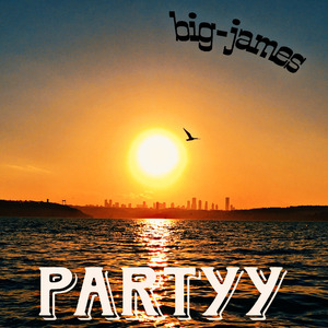 Partyy