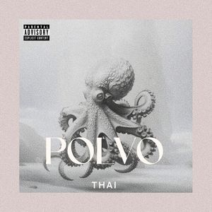 POLVO