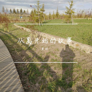 呼唤（《大长今》主题曲中文版）（翻自 汤灿）